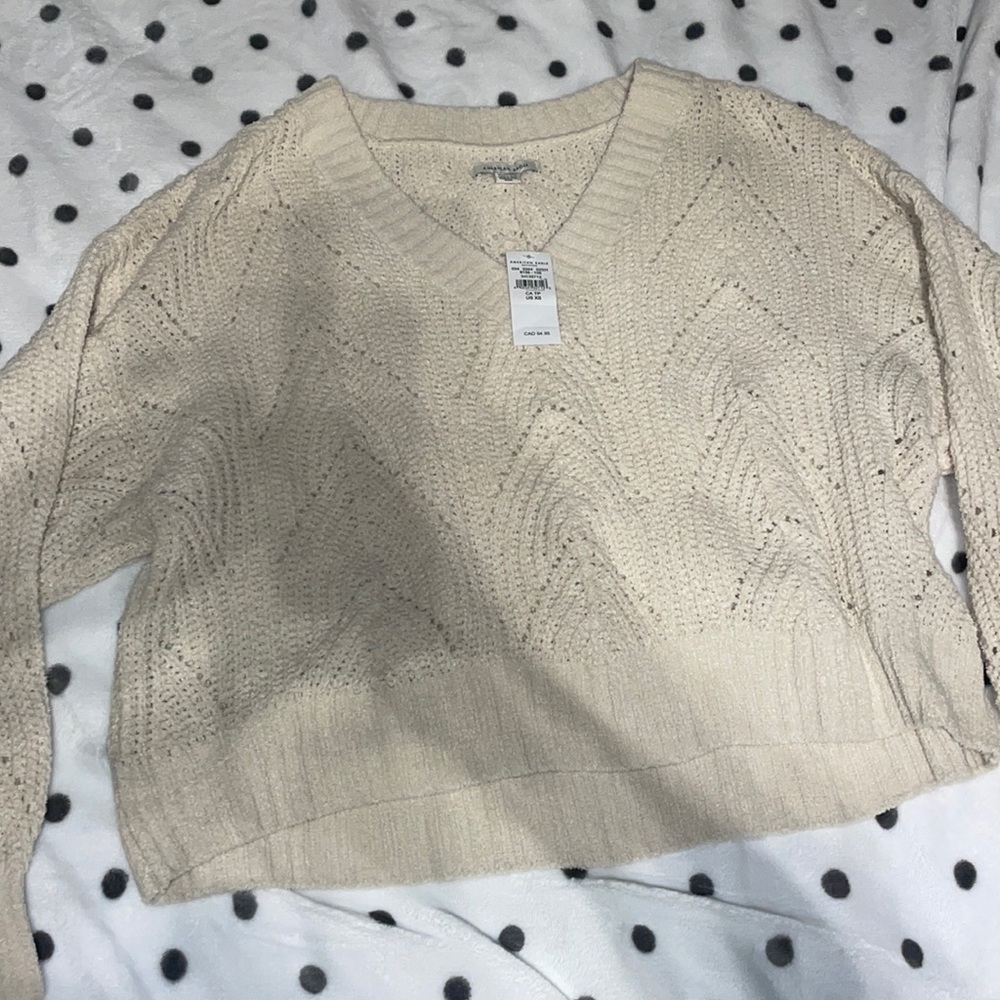 Brand new american eagle sweater (with tags)